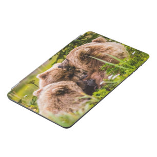 Mama bear nursing her two cubs, Lake Clark Nationa iPad Mini Cover