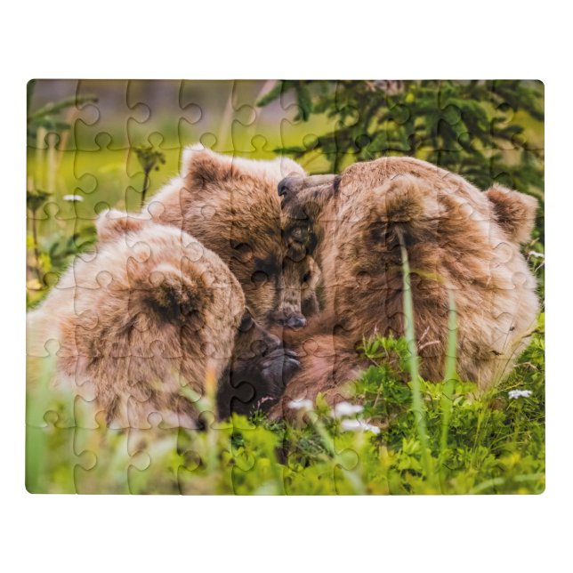 Mama bear nursing her two cubs, Lake Clark Nationa Jigsaw Puzzle (Puzzle Horizontal)