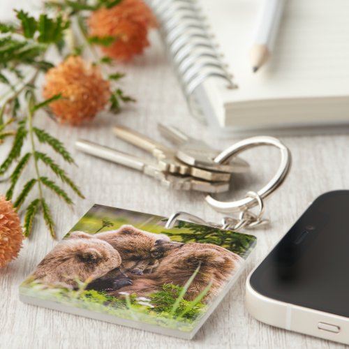 Mama bear nursing her two cubs Lake Clark Nationa Keychain