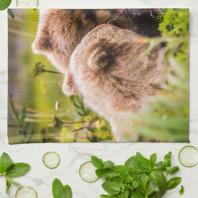 Mama bear nursing her two cubs, Lake Clark Nationa Kitchen Towel (Folded)