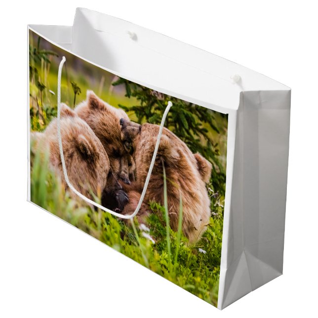 Mama bear nursing her two cubs, Lake Clark Nationa Large Gift Bag (Front Angled)