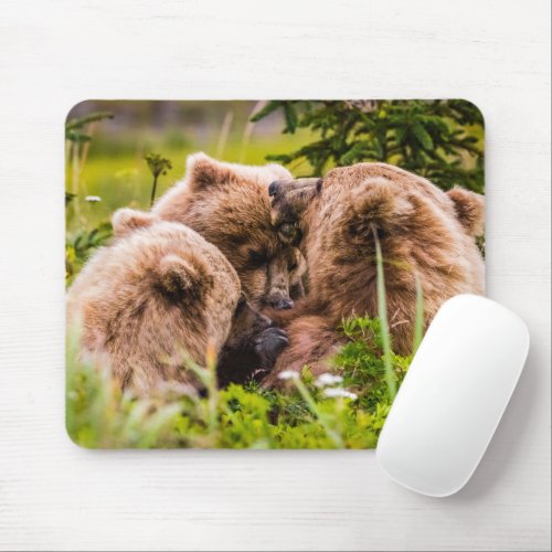 Mama bear nursing her two cubs Lake Clark Nationa Mouse Pad