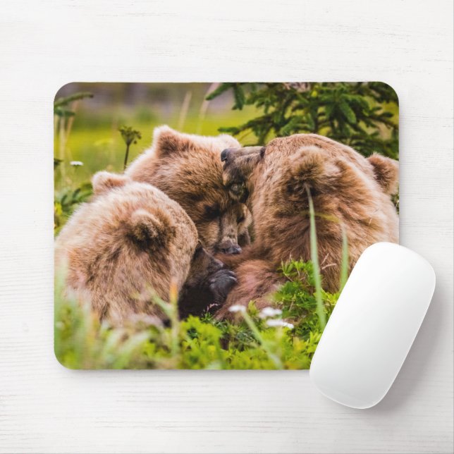 Mama bear nursing her two cubs, Lake Clark Nationa Mouse Pad (With Mouse)