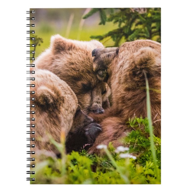 Mama bear nursing her two cubs, Lake Clark Nationa Notebook (Front)