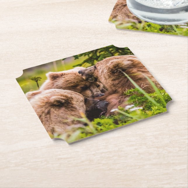 Mama bear nursing her two cubs, Lake Clark Nationa Paper Coaster (Angled)
