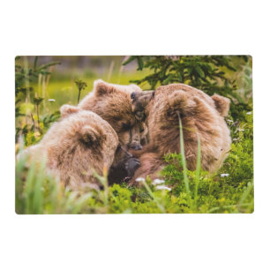 Mama bear nursing her two cubs, Lake Clark Nationa Placemat