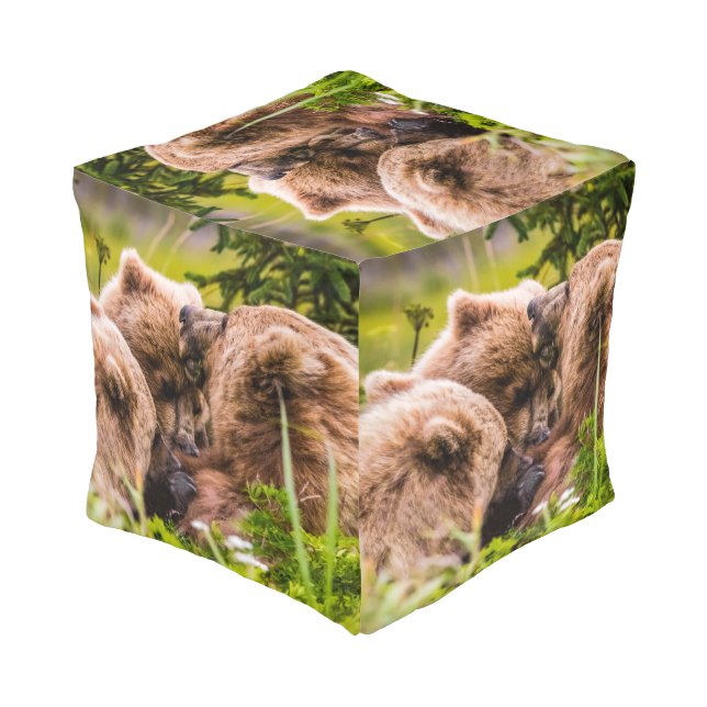 Mama bear nursing her two cubs, Lake Clark Nationa Pouf (Angled Back)