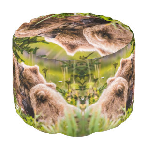 Mama bear nursing her two cubs, Lake Clark Nationa Pouf