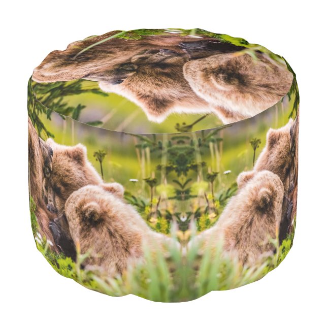 Mama bear nursing her two cubs, Lake Clark Nationa Pouf (Angled Front)