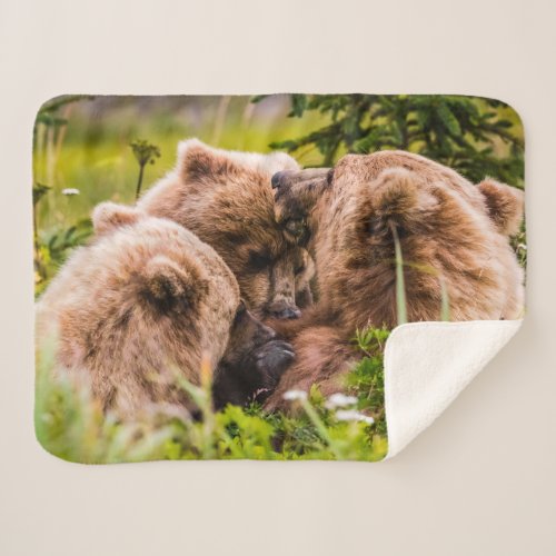 Mama bear nursing her two cubs Lake Clark Nationa Sherpa Blanket