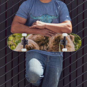 Mama bear nursing her two cubs, Lake Clark Nationa Skateboard