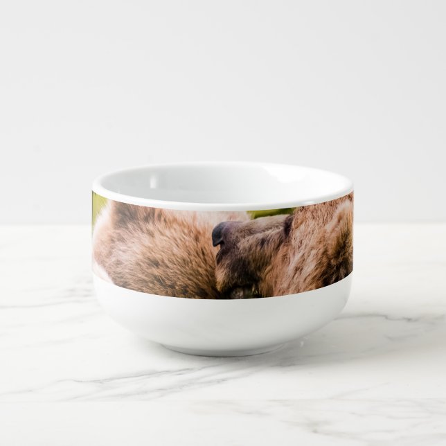 Mama bear nursing her two cubs, Lake Clark Nationa Soup Mug (Front)