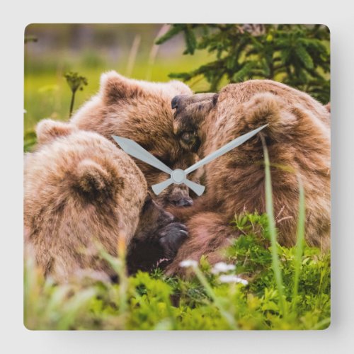 Mama bear nursing her two cubs Lake Clark Nationa Square Wall Clock