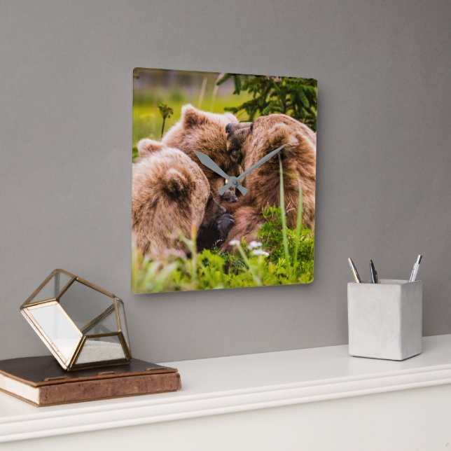 Mama bear nursing her two cubs, Lake Clark Nationa Square Wall Clock (Office)