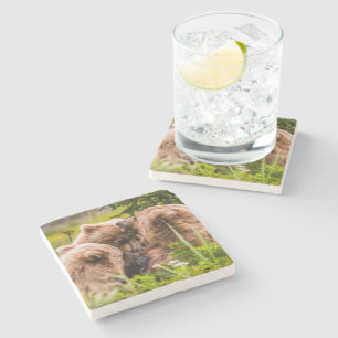 Mama bear nursing her two cubs, Lake Clark Nationa Stone Coaster