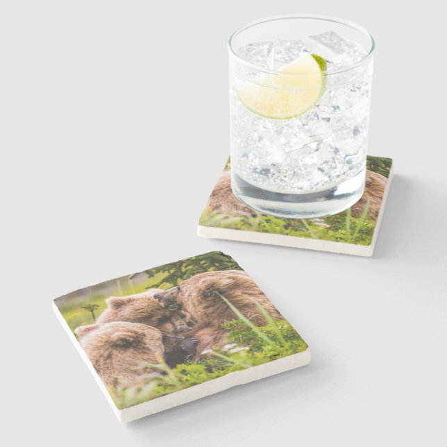 Mama bear nursing her two cubs, Lake Clark Nationa Stone Coaster (Side)