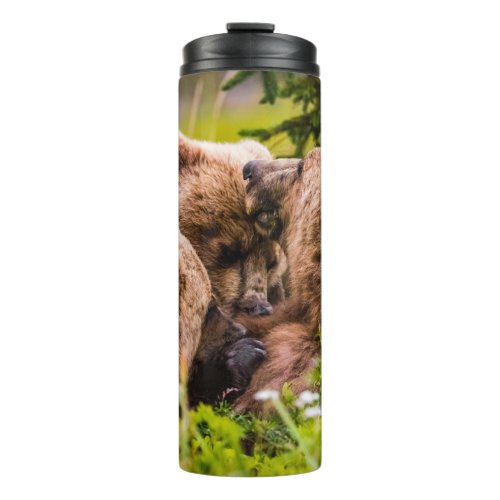 Mama bear nursing her two cubs Lake Clark Nationa Thermal Tumbler