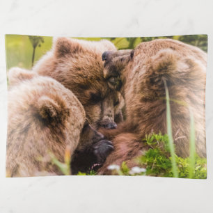 Mama bear nursing her two cubs, Lake Clark Nationa Trinket Tray