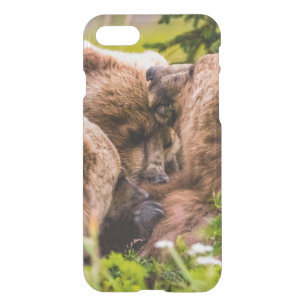 Mama bear nursing her two cubs, Lake Clark Nationa iPhone SE/8/7 Case