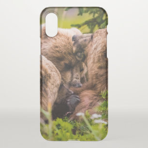 Mama bear nursing her two cubs, Lake Clark Nationa iPhone X Case