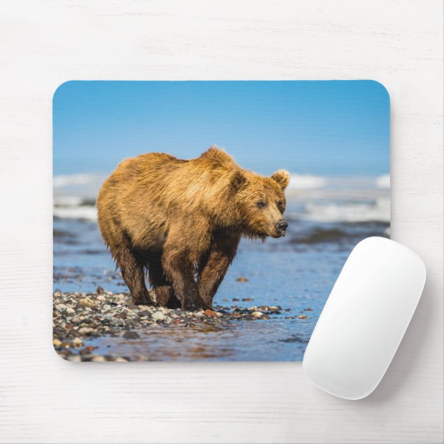Mama bear watching her two kids mouse pad (With Mouse)