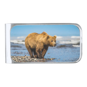 Mama bear watching her two kids silver finish money clip