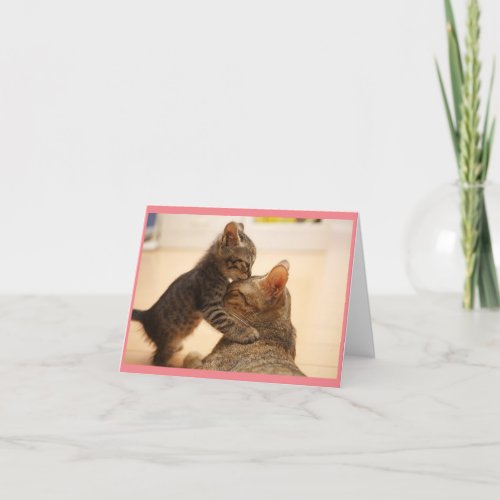 Mama Cat With Kitten Greeting Card