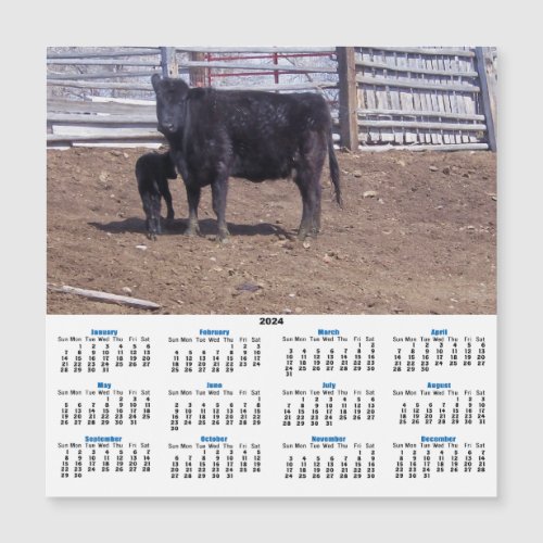 CALF AND COW 2024 CALENDAR CARD Gabriel Angel Design