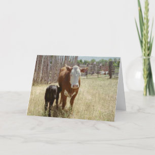 Mama Cow And Calf Letterpress Thank You Card