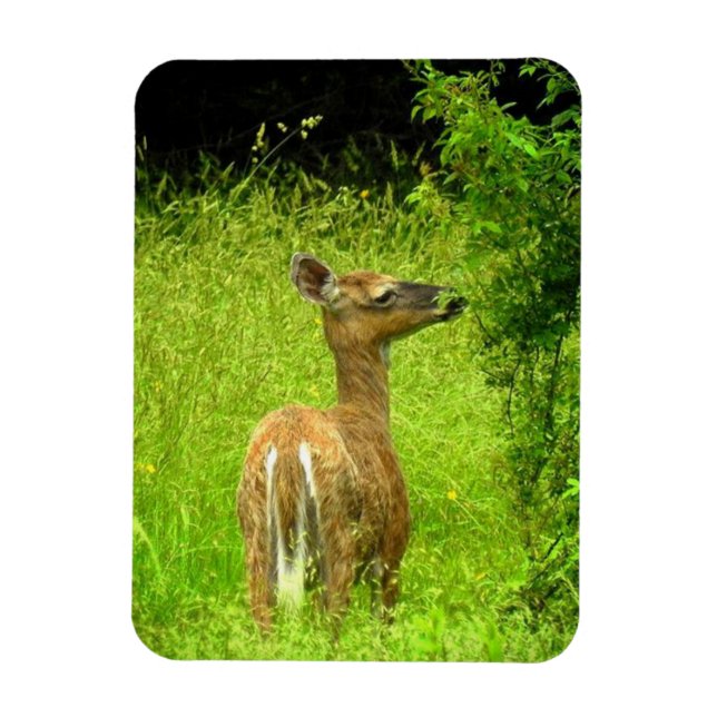 Mama Deer Browsing Magnet (Vertical)