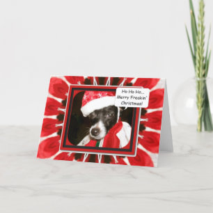 Mama Dressed Me, Merry Freakin` Christmas Holiday Card