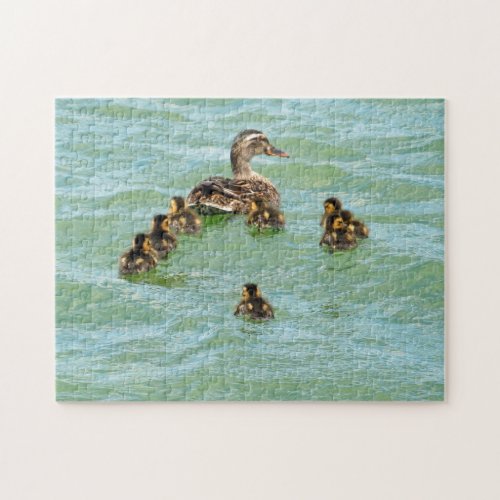 Mama Duck Babies On Lake Swimming Jigsaw Puzzle