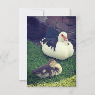 Mama duck, baby and bunny butt. card