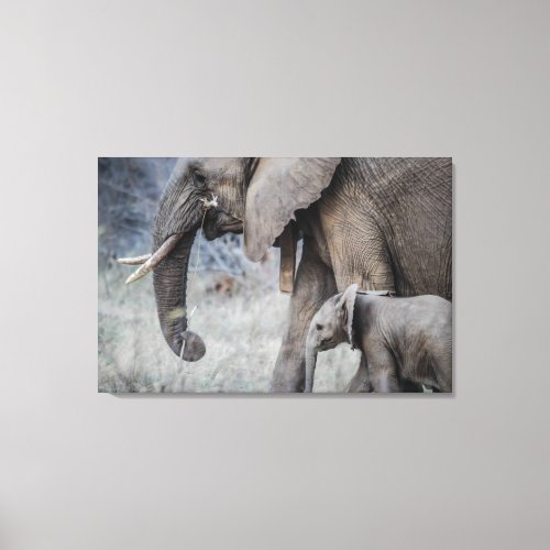 Mama Elephant with Baby Elephant Canvas Print
