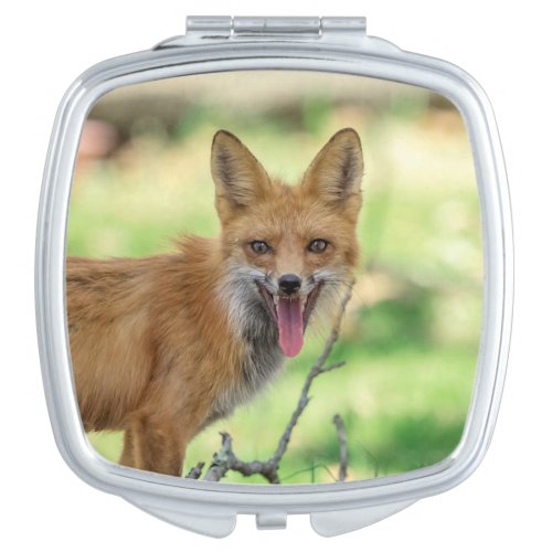 Mama Fox in the Hudson Valley Compact Mirror