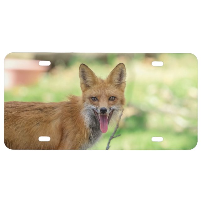 Mama Fox in the Hudson Valley License Plate (Front)