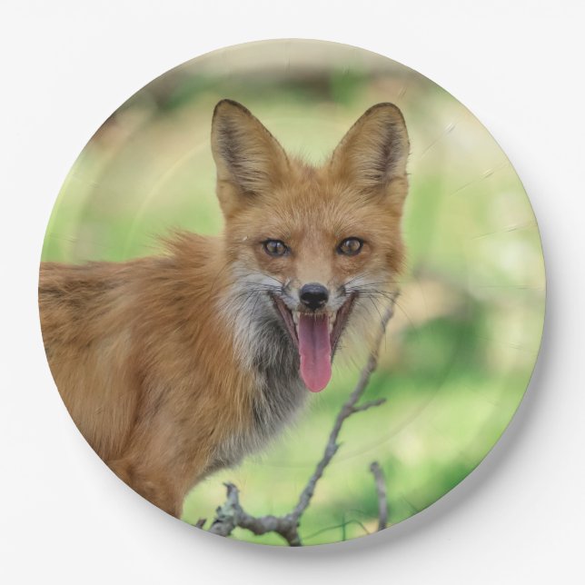 Mama Fox in the Hudson Valley Paper Plates (Front)