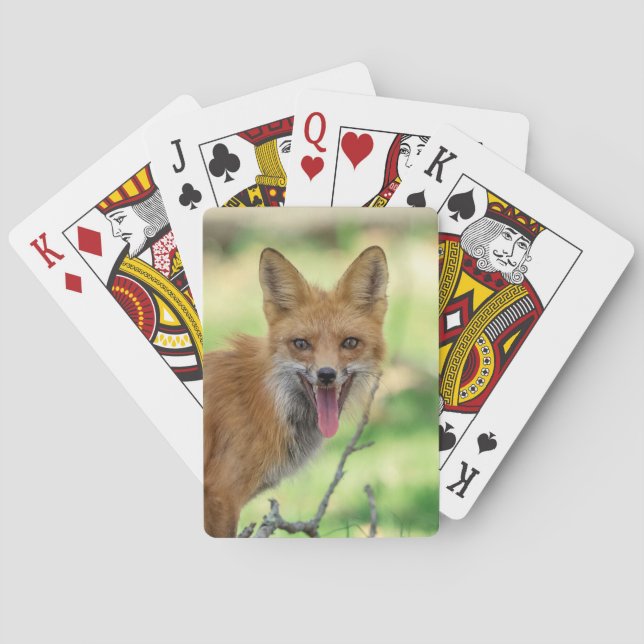 Mama Fox in the Hudson Valley Poker Cards (Back)