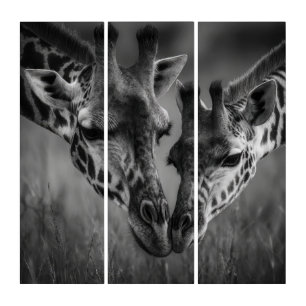 Mama Giraffe& Calf Black& White Wildlife Photo Triptych