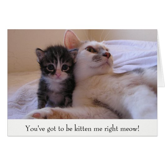 Mama & Kitten Cards (Front Horizontal)