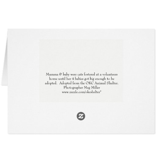 Mama & Kitten Cards (Back Horizontal)