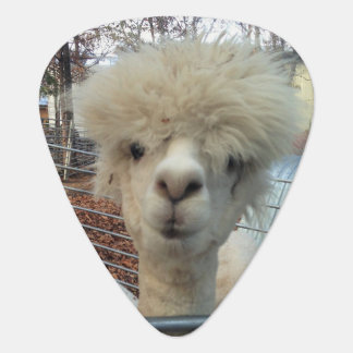Mama Llama Guitar Pick