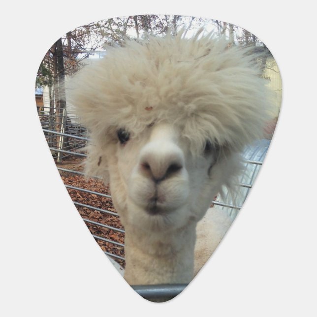 Mama Llama Guitar Pick (Front)