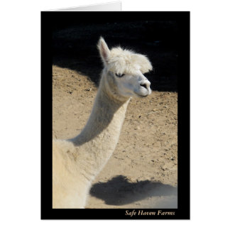 Mama Llama Note Card