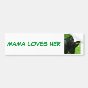 MAMA LOVES HER PUGS BUMPER STICKER