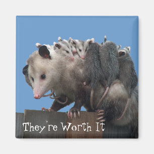 Mama Possum Babies Pro-Life Humorous Magnet