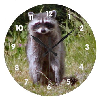 Mama Raccoon Large Clock by northwest_photograph at Zazzle