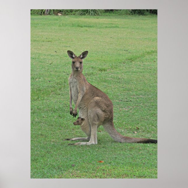 Mama Roo and Joey Poster (Front)