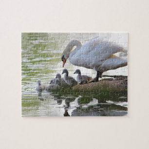 Mama Swan and her seven cygnets Jigsaw Puzzle