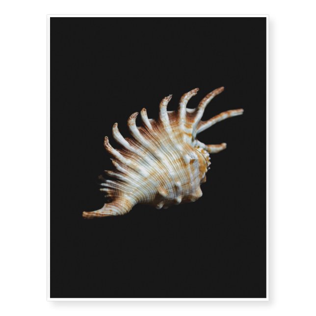 Mambeda Lambis Shell Spider Temporary Tattoos (Front)